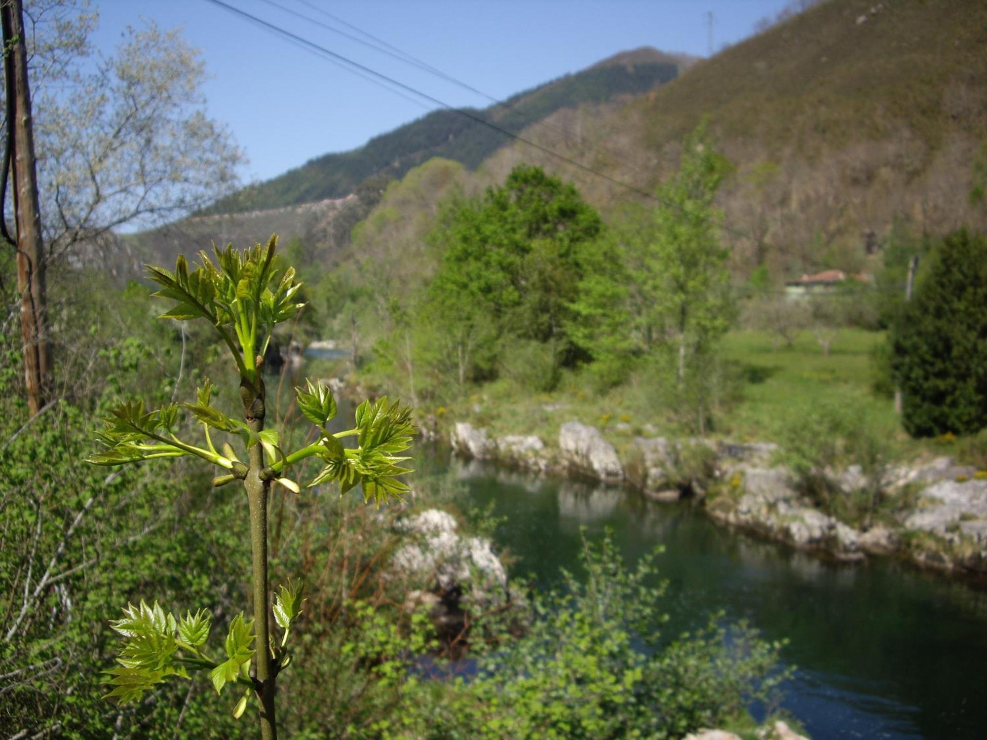 Casa Rural El Canton Cangas de Onis Luaran gambar